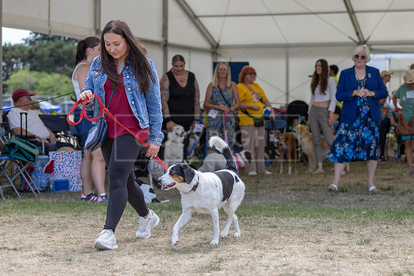 Scruffts Heat @ Windsor 29th June 2025-74
