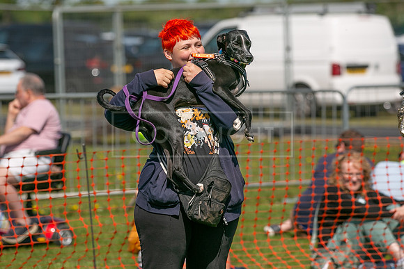 Scruffts @ Newark 27th April 2025-39