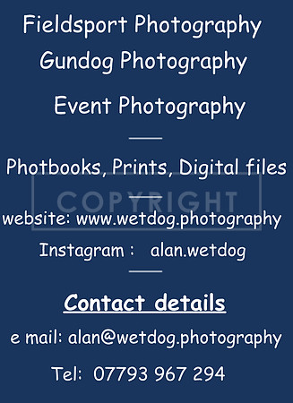 A1 wetdog details