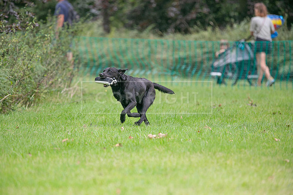 Jixenwell Scurry Challenge Final 2024-0418