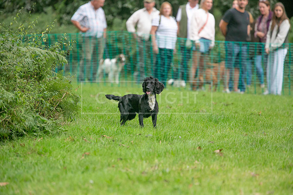 Jixenwell Scurry Challenge Final 2024-0255