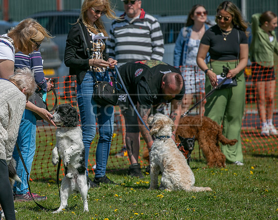 Scruffts @ Newark 27th April 2025-7