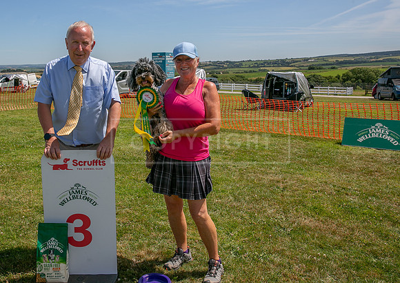 Scruffts heat @ Wadebridge 13th July 2025-97