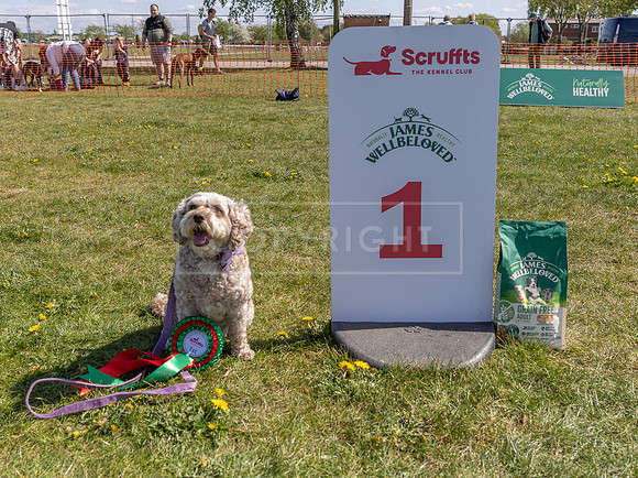 Scruffts @ Newark 27th April 2025-105