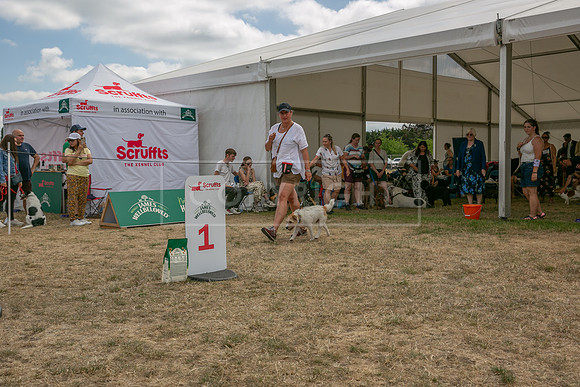 Scruffts Heat @ Windsor 29th June 2025-24