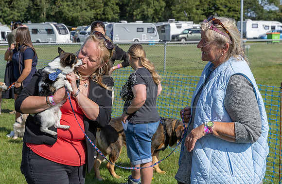 Scruffts Family Crossbreed of the Year competition, Detling, 15th Sept 2024-015
