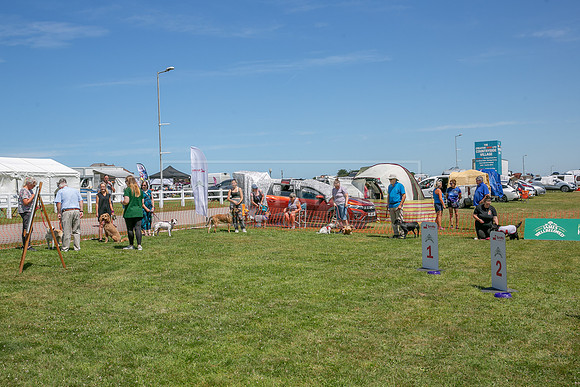 Scruffts heat @ Wadebridge 13th July 2025-59