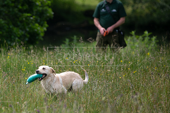 Int Retriever Day 1 -096