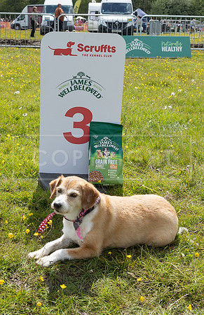Scruffts @ Hylands Park 5th May 2024-089