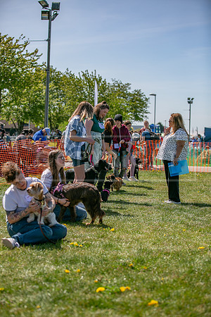 Scruffts @ Newark 27th April 2025-56