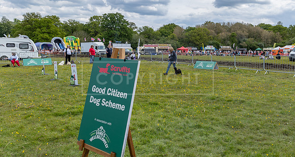 Scruffts @ Hylands Park 5th May 2024-093