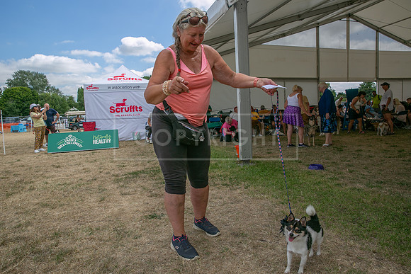 Scruffts Heat @ Windsor 29th June 2025-19