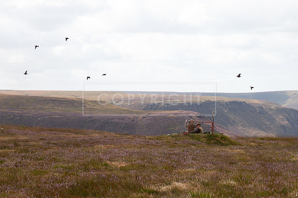 Upperwood 19th  Aug-167