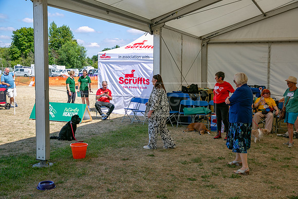 Scruffts Heat @ Windsor 29th June 2025-119