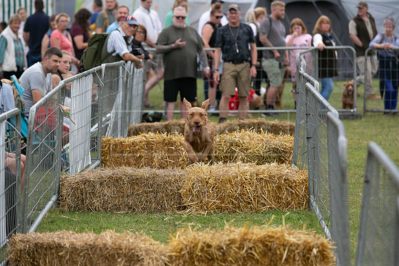 Jixenwell Scurry @ Sandringham 2024-010