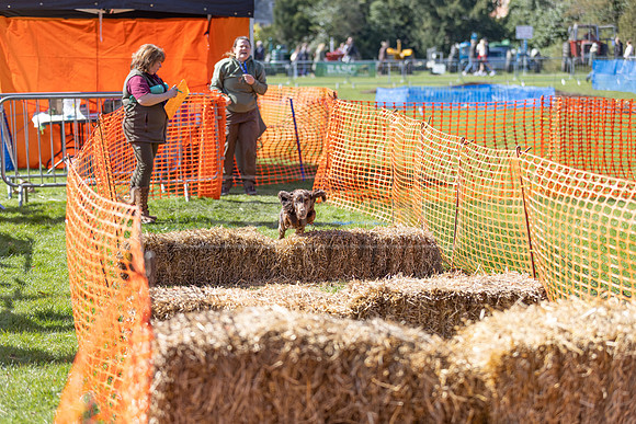 Thoresby Sun 30th Mar 25-215
