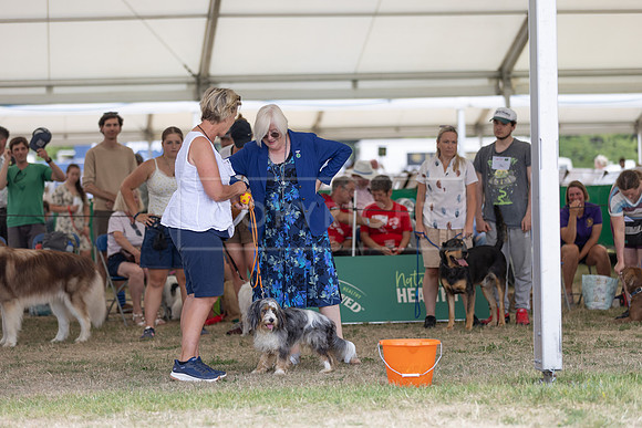 Scruffts Heat @ Windsor 29th June 2025-15