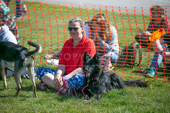 Scruffts @ Newark 27th April 2025-37