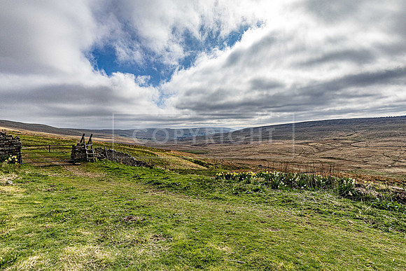 Camm Farm 24th April 2025-13