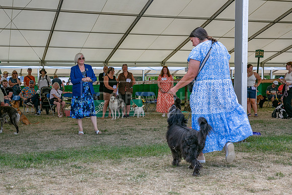 Scruffts Heat @ Windsor 29th June 2025-64