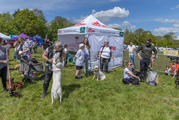 Scruffts @ Hylands Park 5th May 2024-040