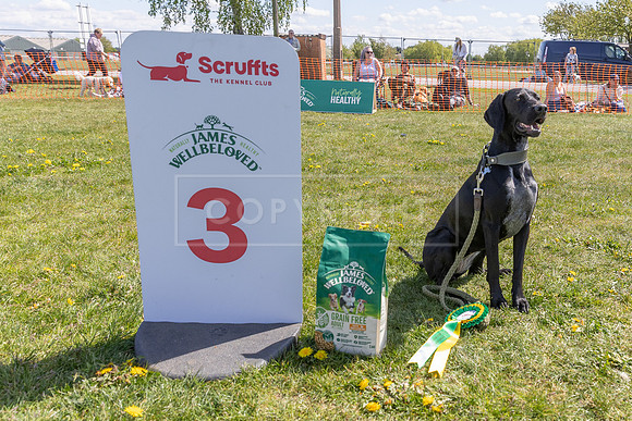 Scruffts @ Newark 27th April 2025-74