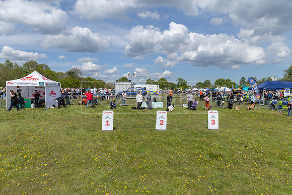 Scruffts @ Hylands Park 5th May 2024-090