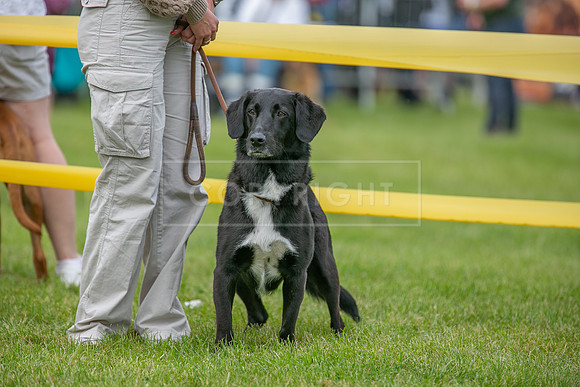Scruffts Heat @ Shrewsbury 24th May 2025-74