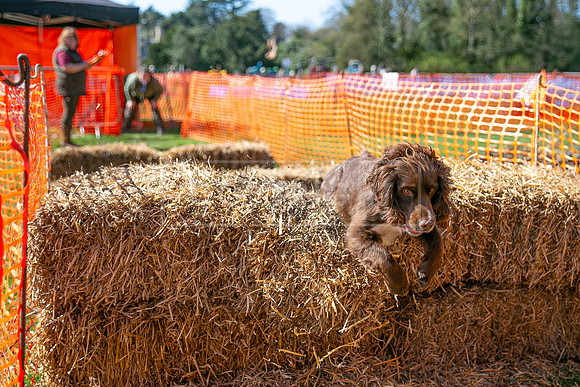 Thoresby Sun 30th Mar 25-213