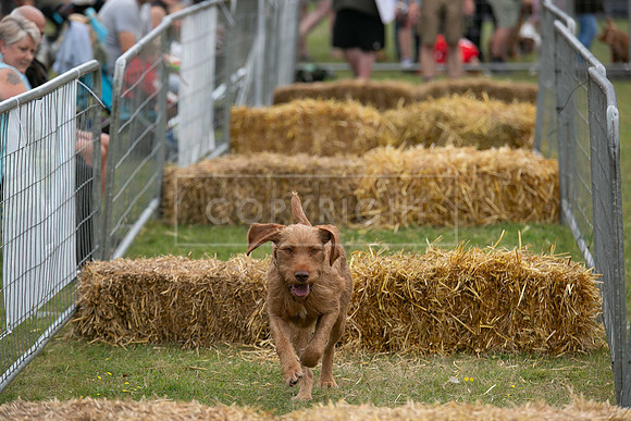 Jixenwell Scurry @ Sandringham 2024-014