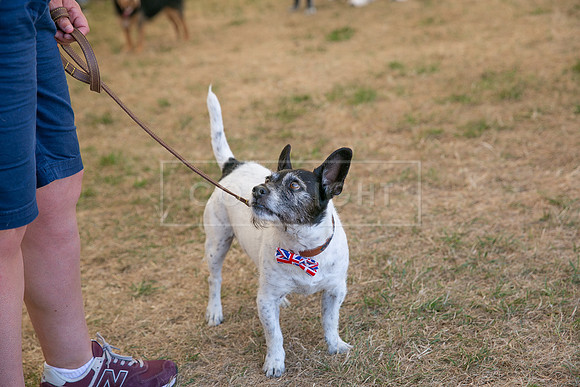 Scruffts Heat @ Windsor 29th June 2025-100