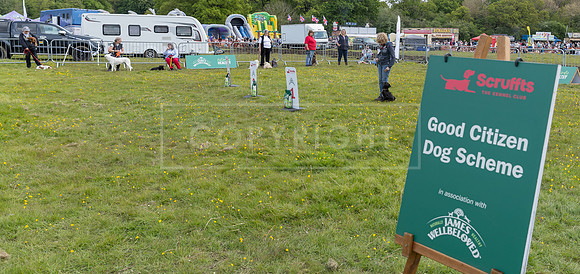 Scruffts @ Hylands Park 5th May 2024-094