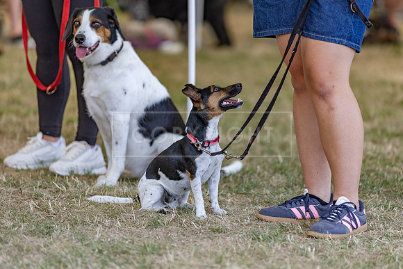Scruffts Heat @ Windsor 29th June 2025-49