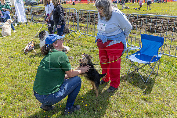 Scruffts @ Hylands Park 5th May 2024-047