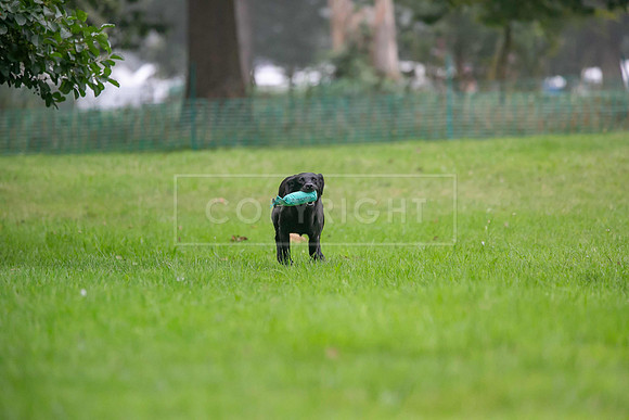 Jixenwell Scurry Challenge Final 2024-0135