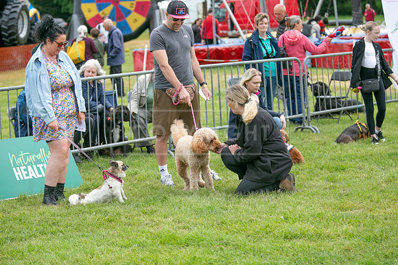 Scruffts Heat @ Shrewsbury 24th May 2025-45