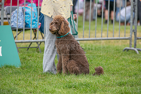 Scruffts Heat @ Shrewsbury 24th May 2025-103