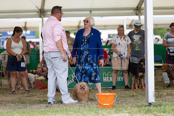 Scruffts Heat @ Windsor 29th June 2025-16