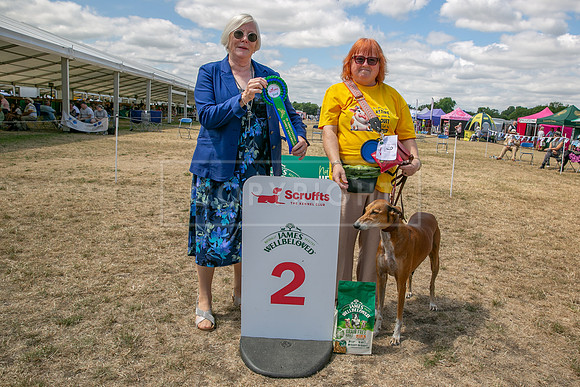 Scruffts Heat @ Windsor 29th June 2025-82