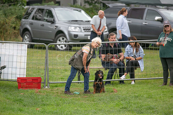 Jixenwell Scurry @ Sandringham 2024-007