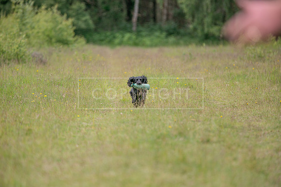 Ollerton 7th June 2025-76