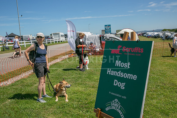 Scruffts heat @ Wadebridge 13th July 2025-1
