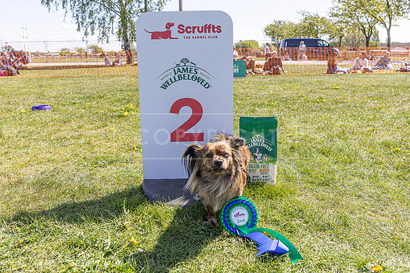 Scruffts @ Newark 27th April 2025-71