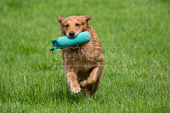 Int Retriever Day 1 -208