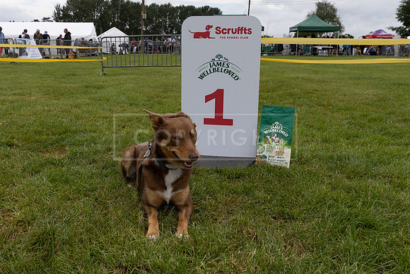 Scruffts Heat @ Shrewsbury 24th May 2025-33