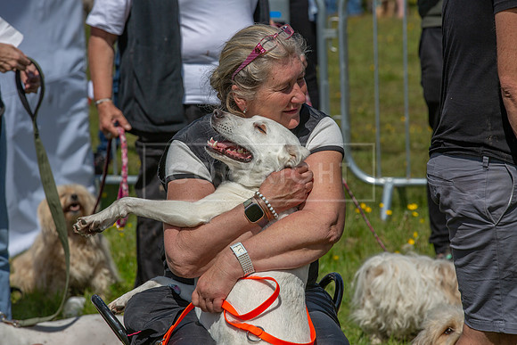 Scruffts @ Hylands Park 5th May 2024-050