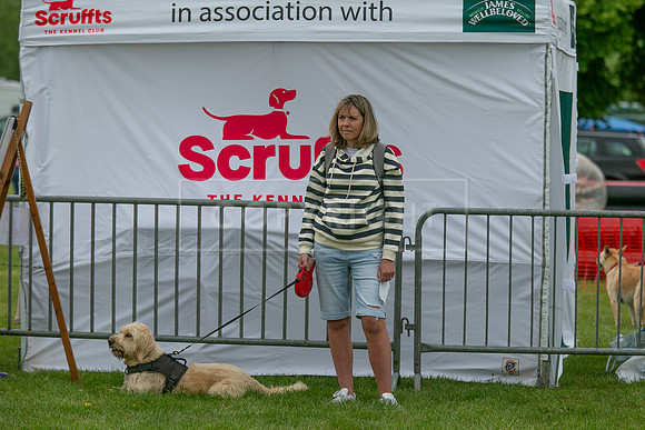Scruffts Heat @ Shrewsbury 24th May 2025-29