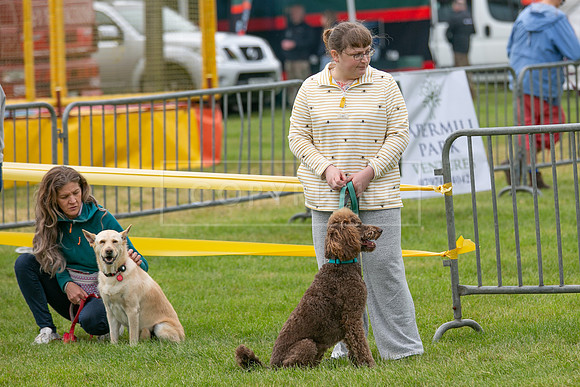 Scruffts Heat @ Shrewsbury 24th May 2025-44