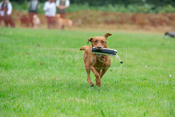 Jixenwell Scurry Challenge Final 2024-0151