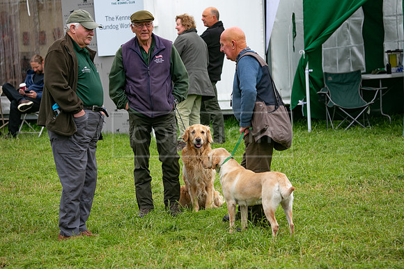 Open Spaniel-004